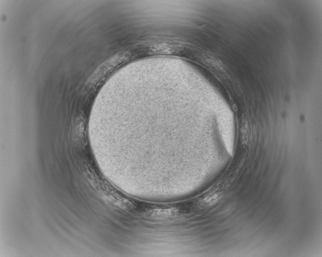 X0000054440314200508191618