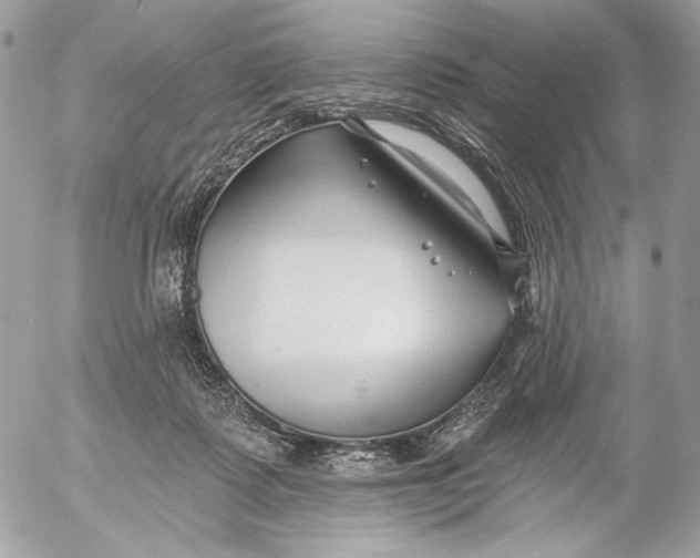 X0000054440315200508191618