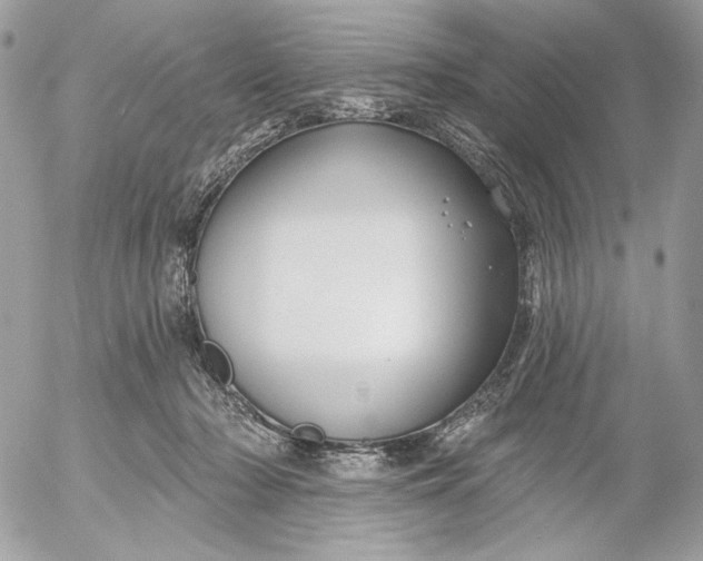 X0000054440318200508191618