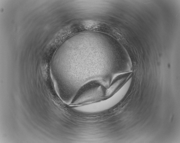 X0000054440319200508191618