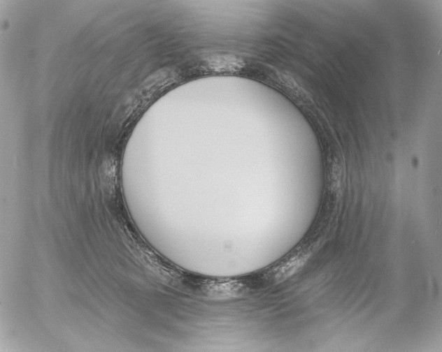 X0000054440321200508191618