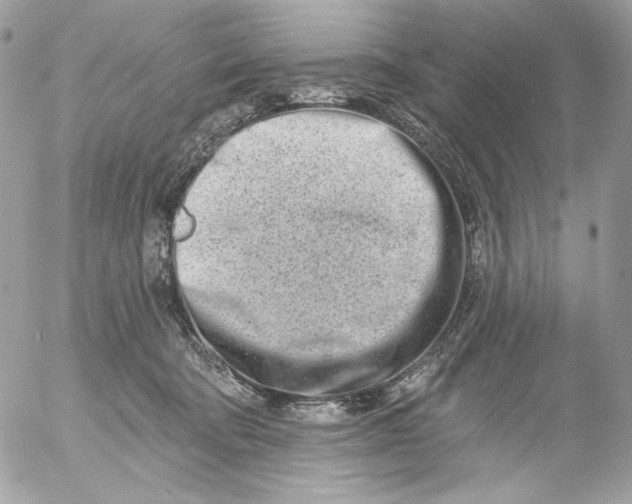 X0000054440322200508191618