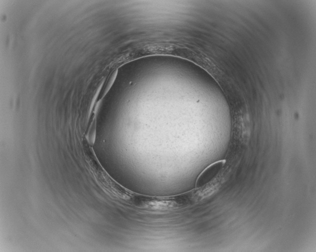 X0000054440323200508191618