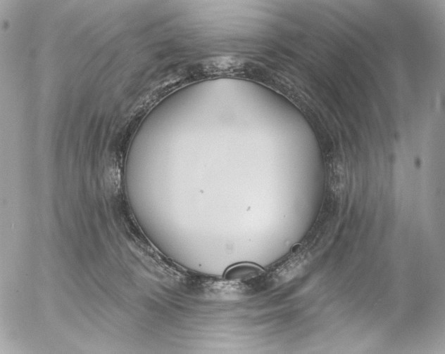 X0000054440324200508191618