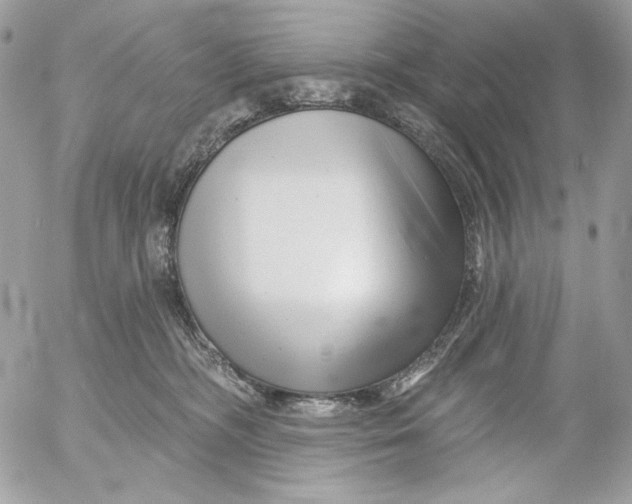 X0000054440326200508191618