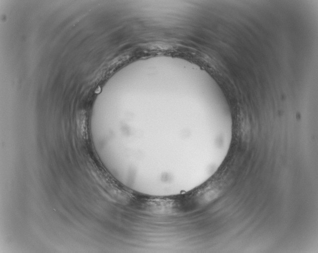 X0000054440328200508191618