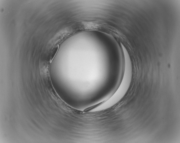 X0000054440329200508191618