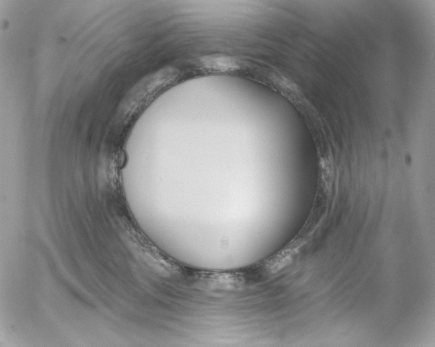 X0000054440330200508191618