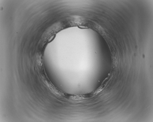 X0000054440331200508191618