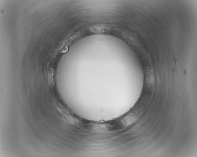 X0000054440332200508191617