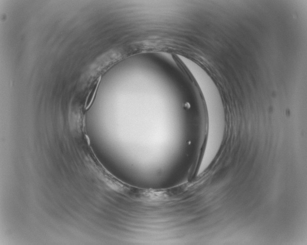 X0000054440333200508191617