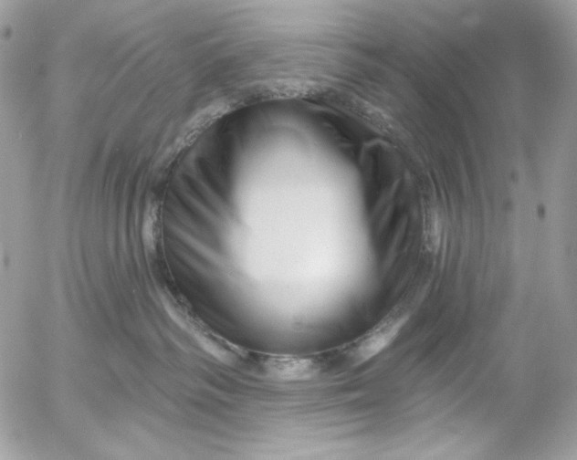 X0000054440334200508191617