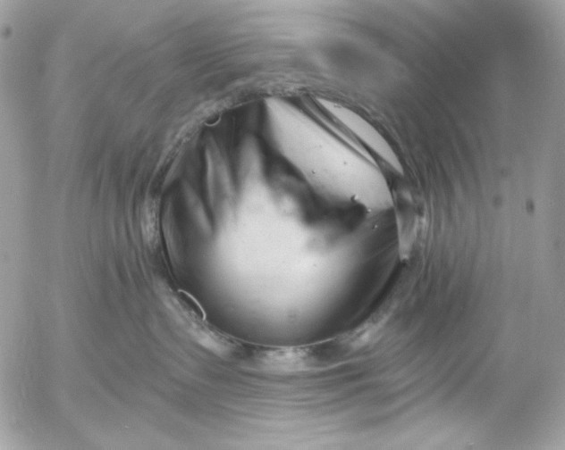 X0000054440335200508191617