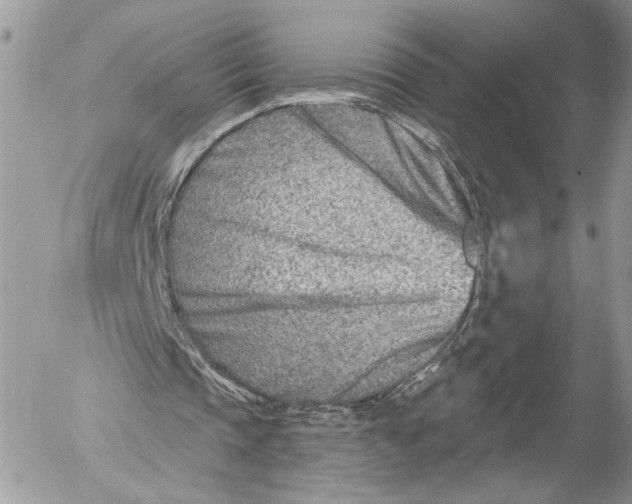 X0000054440337200508191617