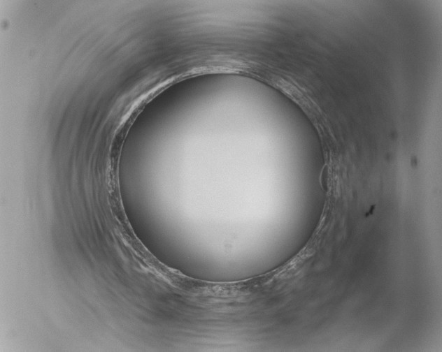 X0000054440338200508191617