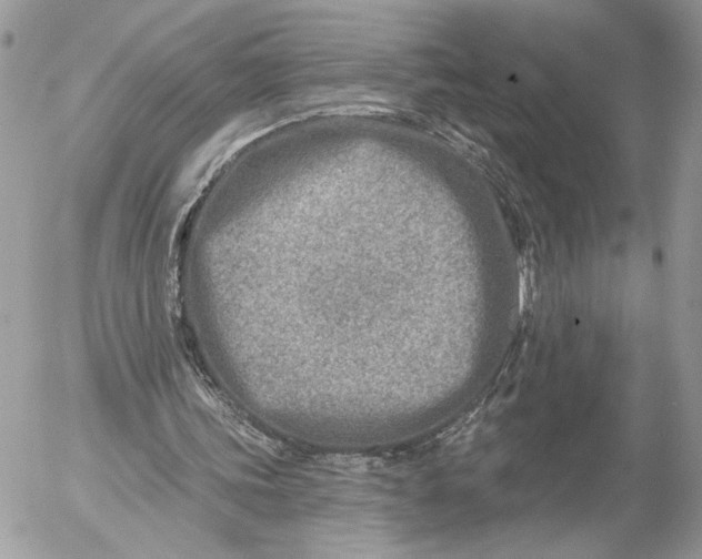 X0000054440339200508191617