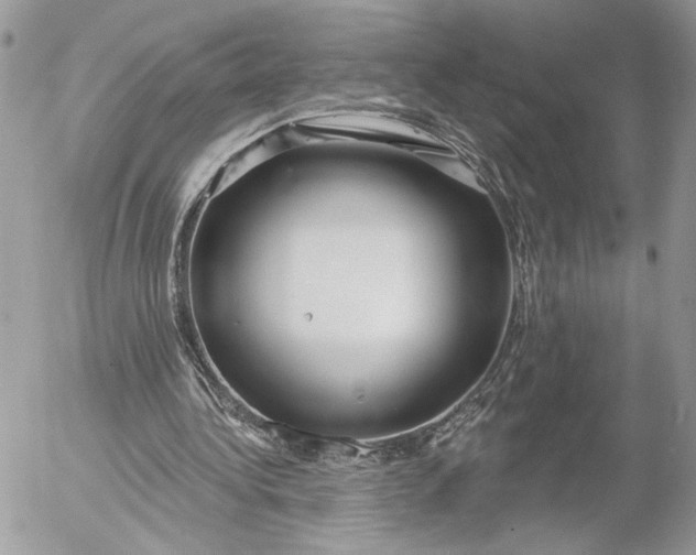 X0000054440340200508191617