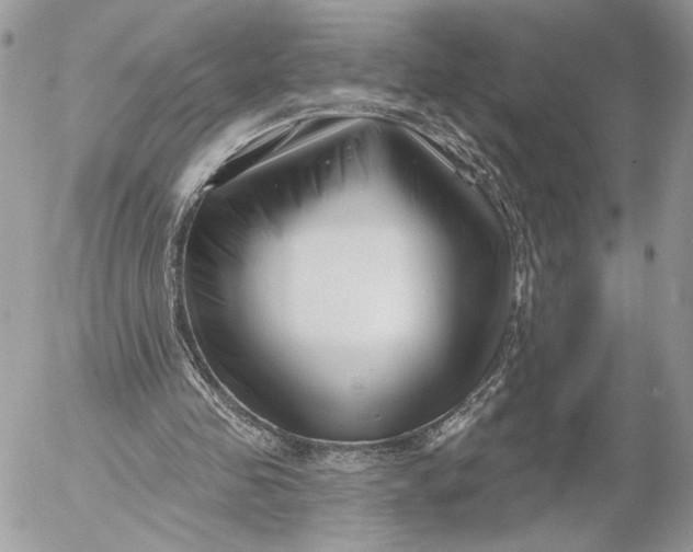 X0000054440341200508191617