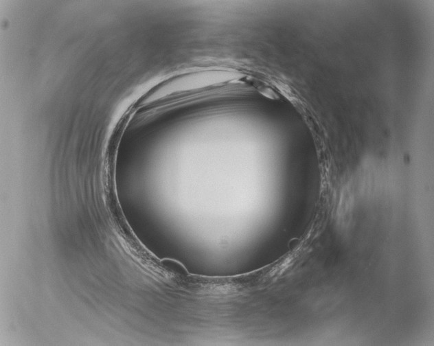 X0000054440342200508191617