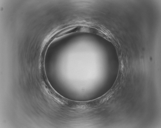 X0000054440344200508191617