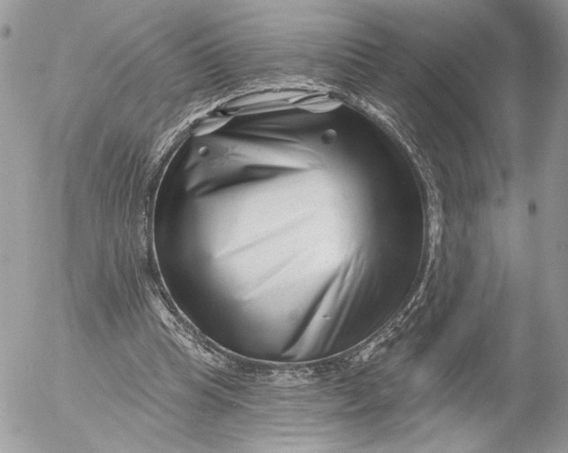 X0000054440345200508191617