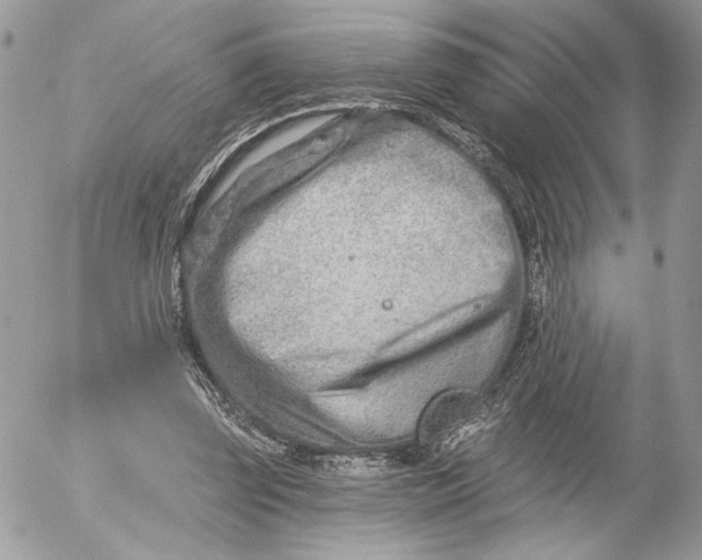 X0000054440347200508191617