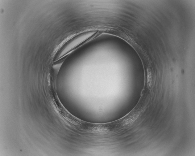 X0000054440348200508191617