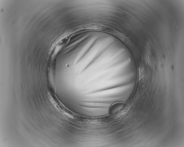 X0000054440349200508191617