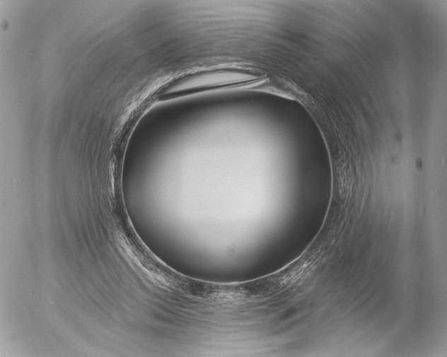 X0000054440350200508191617