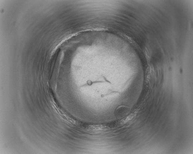 X0000054440351200508191617