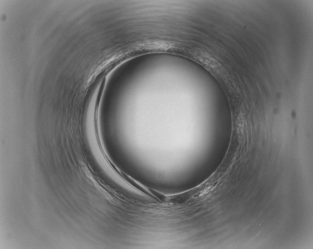 X0000054440352200508191617