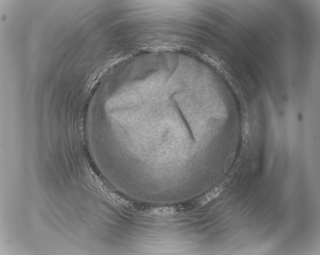 X0000054440353200508191617