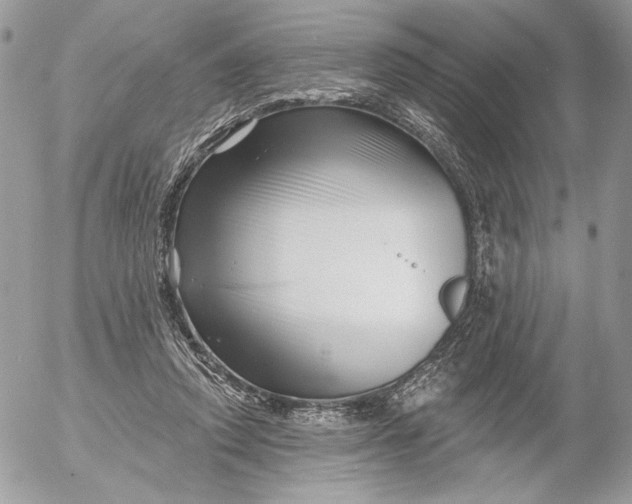 X0000054440354200508191617