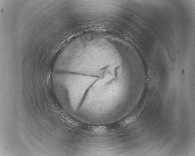 X0000054440355200508191617