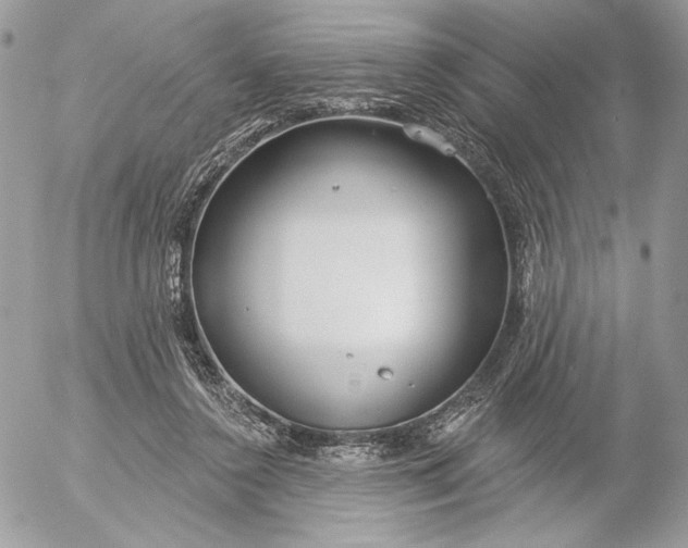 X0000054440356200508191617