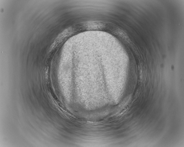 X0000054440357200508191617