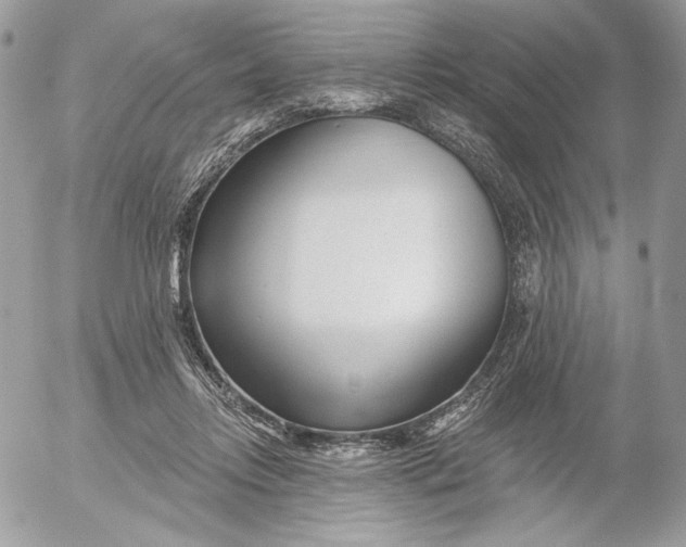 X0000054440358200508191617