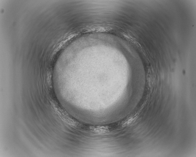 X0000054440359200508191617