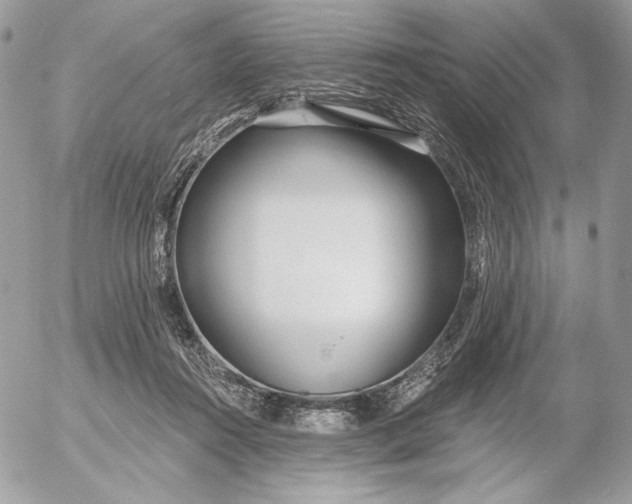 X0000054440360200508191617