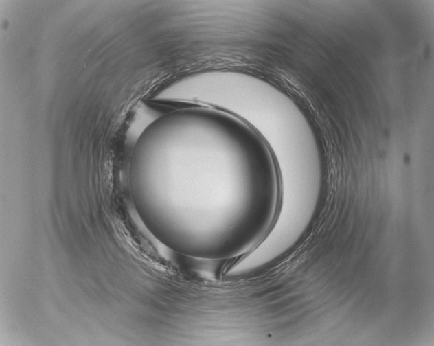 X0000054440362200508191617