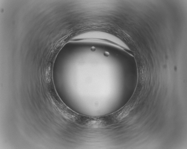 X0000054440364200508191617