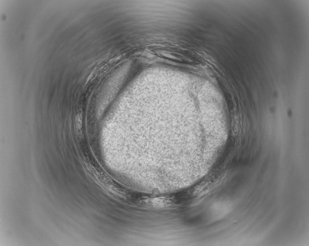 X0000054440365200508191617