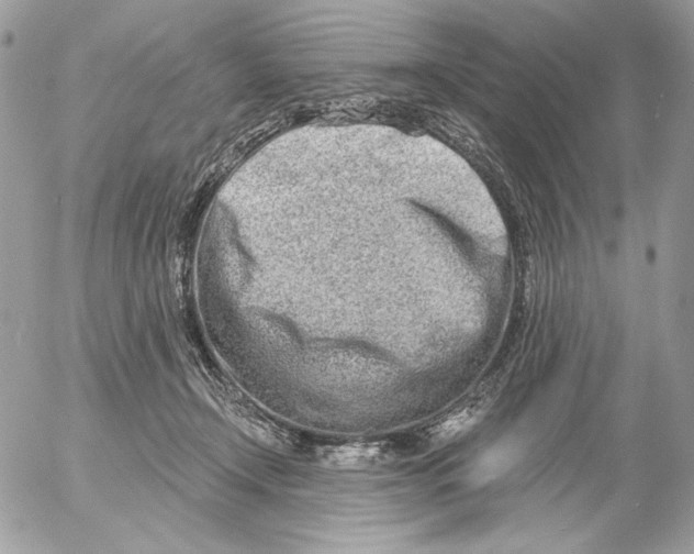 X0000054440366200508191617