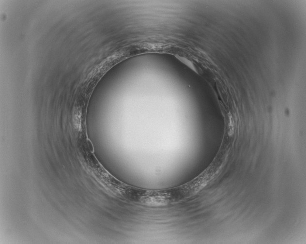 X0000054440368200508191617