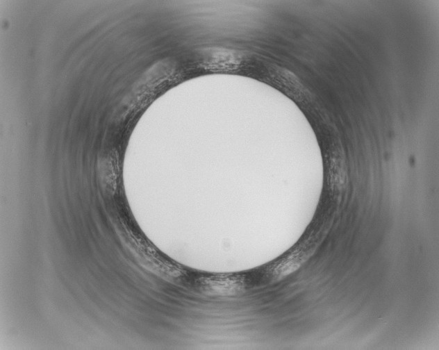 X0000054440370200508191617