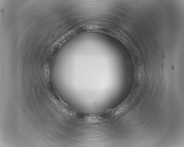 X0000054440372200508191617