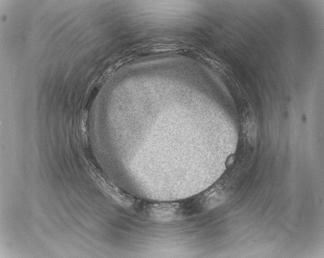 X0000054440373200508191617