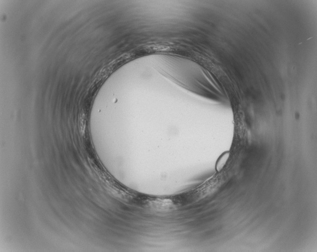 X0000054440374200508191617