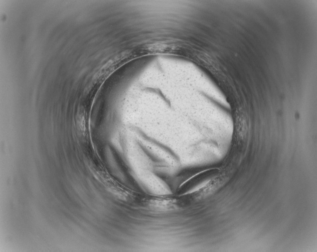 X0000054440375200508191617