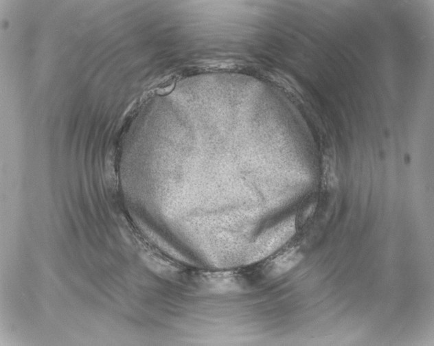 X0000054440377200508191617